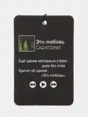 Зелёный хаки ароматизатор воздуха для авто картонный. Вонючка в машину. Хасбик Хасбулла. Буйно