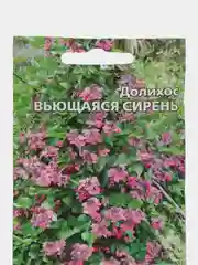 Долихос Вьющаяся сирень (семена,цветы)