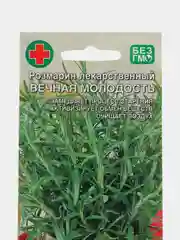 Розмарин Вечная Молодость - лекарственный (семена)