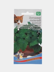 Котовник кошачий "Бархат", семена
