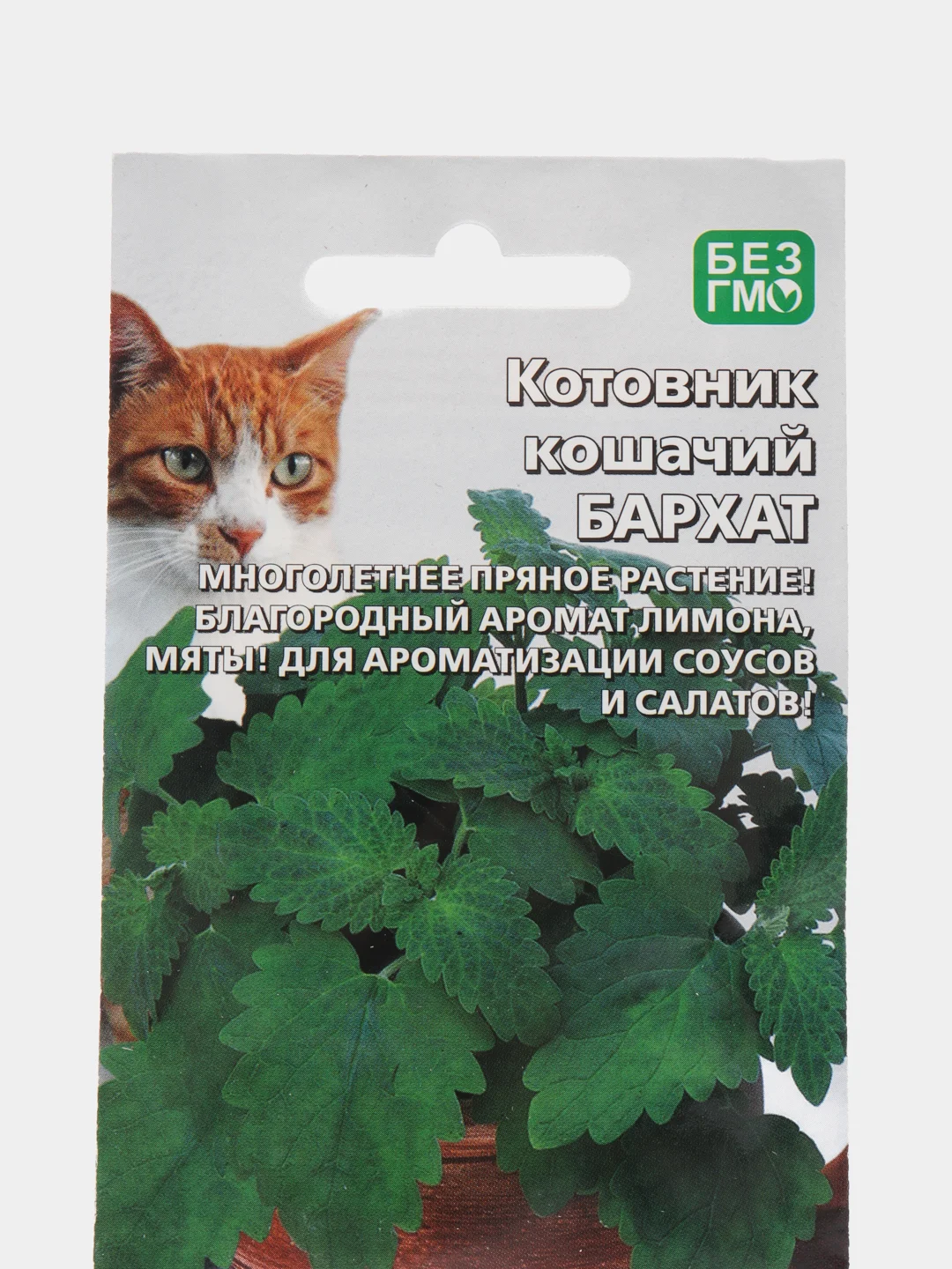 Котовник кошачий "Бархат", семена