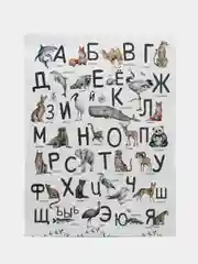 Образовательные постеры в детскую комнату, 3 шт