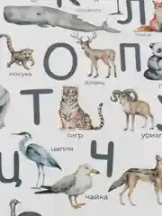 Образовательные постеры в детскую комнату, 3 шт
