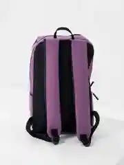 Аметистовый рюкзак повседневный Casual Daypack 16 л