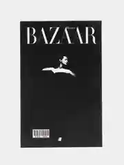 Хром книга интерьерная, муляж книги, декор для дома