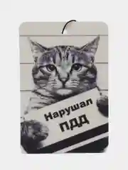 Оливковый ароматизатор воздуха для авто картонный. Вонючка в машину. Хасбик Хасбулла. Буйно