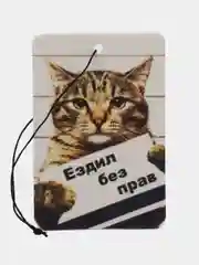 Оливковый ароматизатор воздуха для авто картонный. Вонючка в машину. Хасбик Хасбулла. Буйно