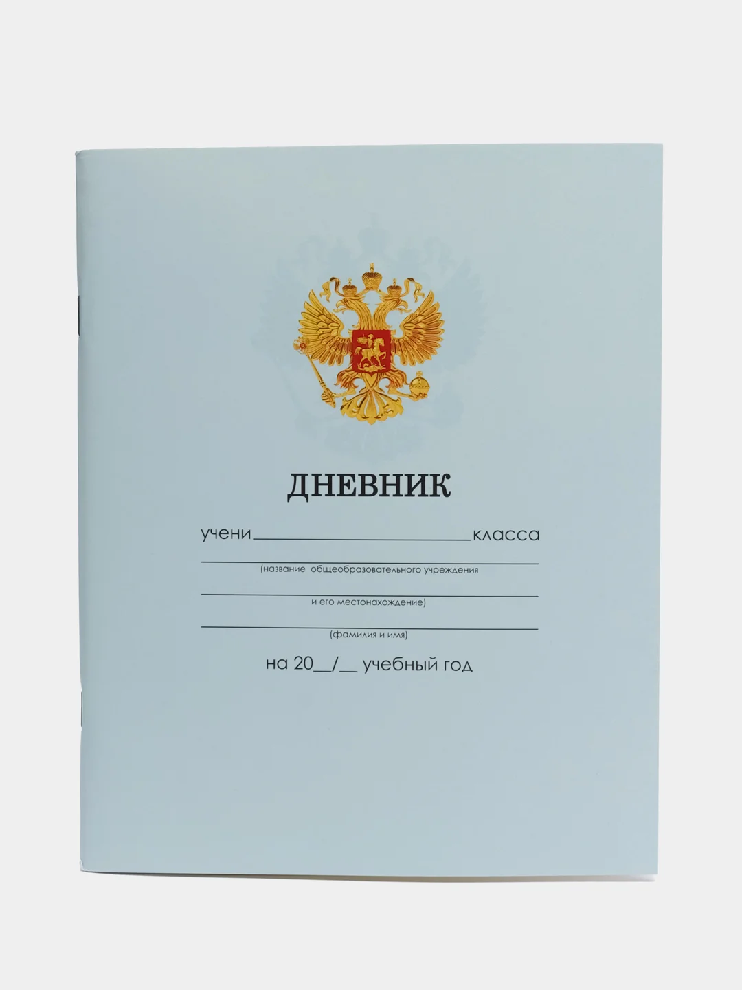 Ледяной дневник школьный 1-11 класс, А5, 40 листов