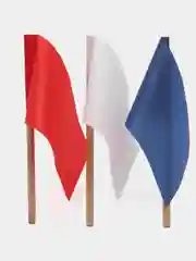 Флажки Триколор, на деревянной палочке, Ecoved, 12 штук, белый, синий, красный