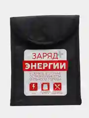 Термосумка "Заряд энергии", 25 х 19,5 х 8 см