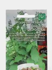 Огуречная трава (бораго) Окрошка, семена