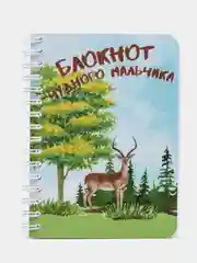 Блокнот чудного мальчика, 70 листов, формат А6