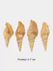 Бронзовый ракушки натуральные морские и океанические, грунт, наполнитель, декор для аквариума
