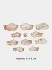Карамельный ракушки натуральные морские и океанические, грунт, наполнитель, декор для аквариума