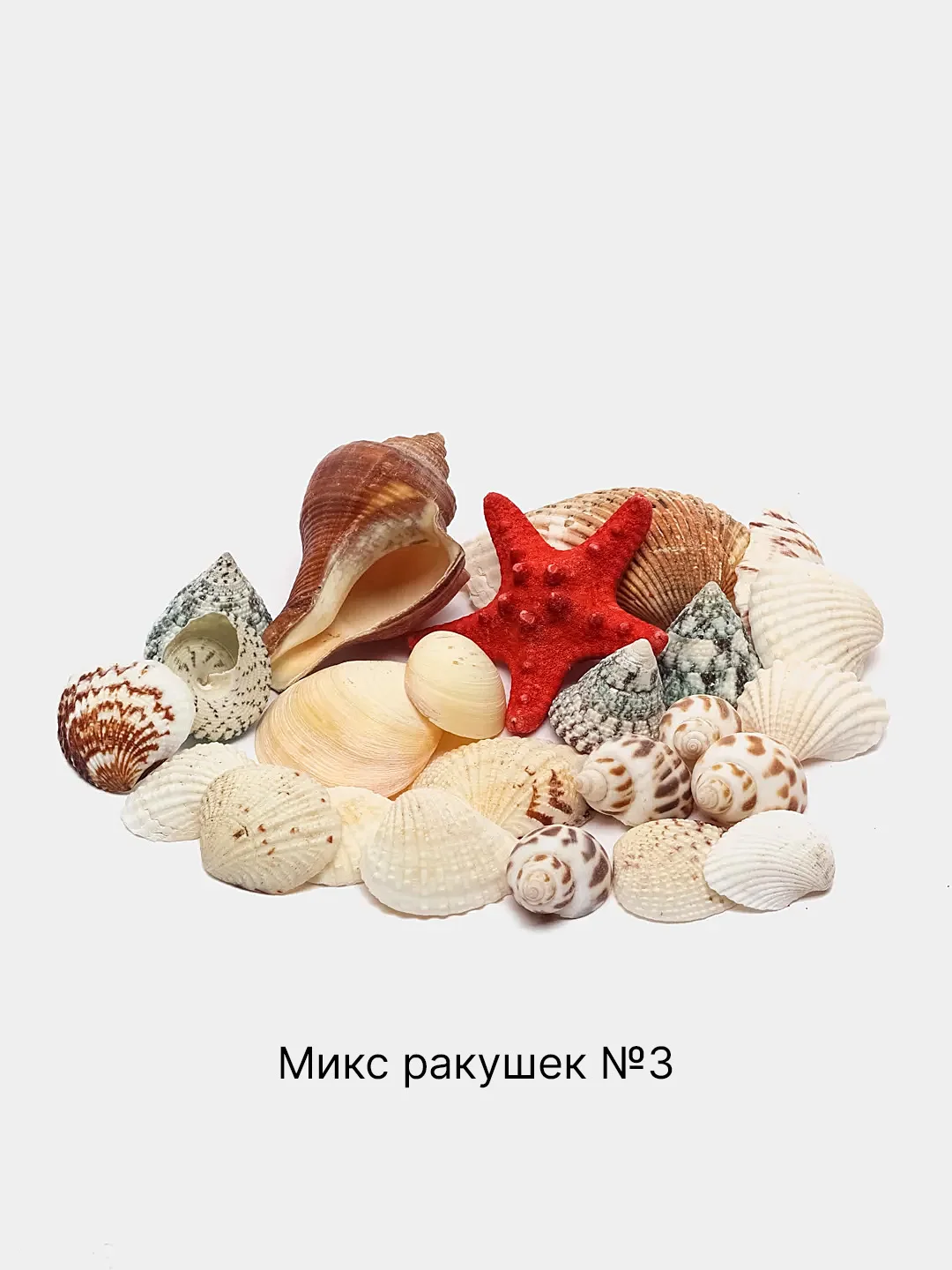 Красный ракушки натуральные морские и океанические, грунт, наполнитель, декор для аквариума