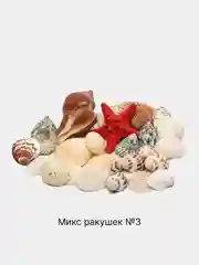 Красный ракушки натуральные морские и океанические, грунт, наполнитель, декор для аквариума