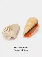 Кремовый ракушки натуральные морские и океанические, грунт, наполнитель, декор для аквариума
