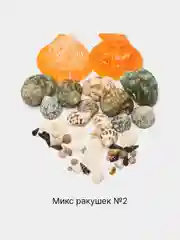 Оранжевый ракушки натуральные морские и океанические, грунт, наполнитель, декор для аквариума