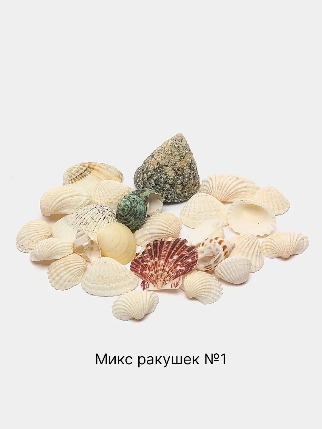 Разноцветный ракушки натуральные морские и океанические, грунт, наполнитель, декор для аквариума