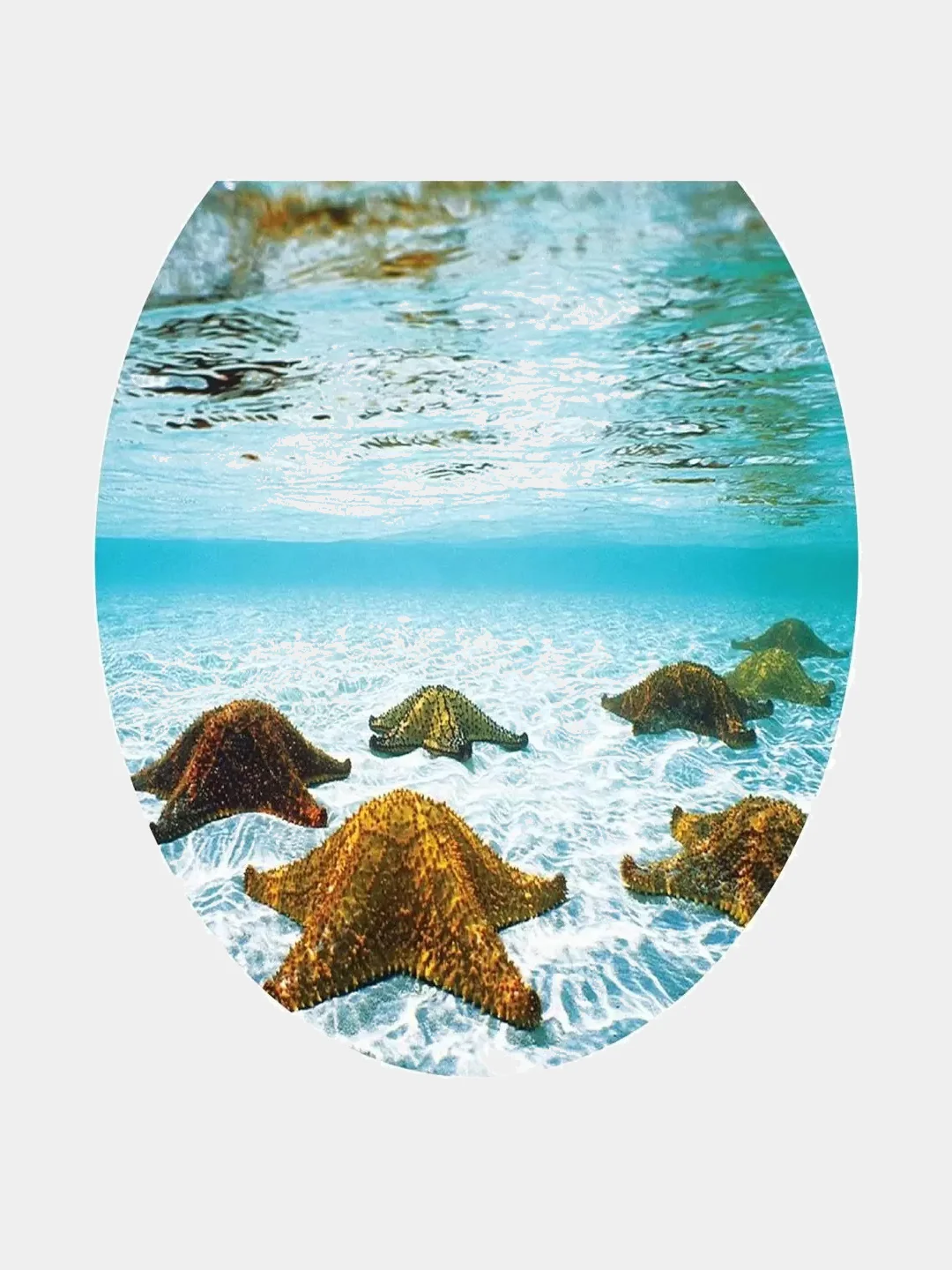Морской сиденье для унитаза, крышка, стульчик, сидушка, накладка для туалета мягкое с рисунком