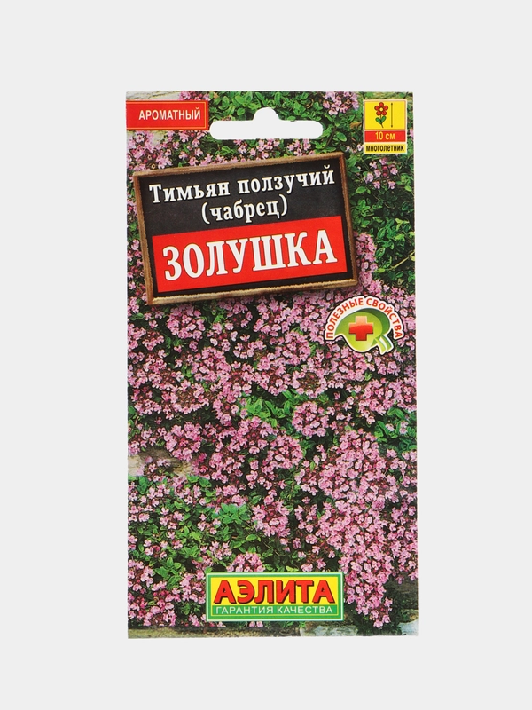 Тимьян (чабрец) Золушка (семена,цветы)