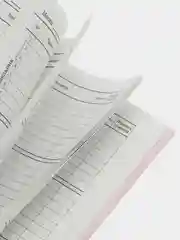 Дневник школьный для начальных, младших классов 48 листов твердый, Совушка, 106601