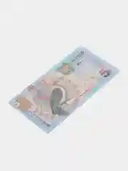 Банкнота купюра Суринам "5 гульденов", 2000 год