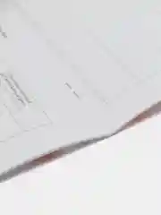 Ветеринарный паспорт международный универсальный для животных
