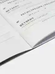 Ветеринарный паспорт международный универсальный для кошек