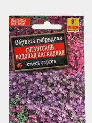 Обриета Гигантский водопад каскадная, смесь сортов (семена,цветы)