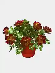 Набор для плетения цветов из пайеток, бархатцы, Lori