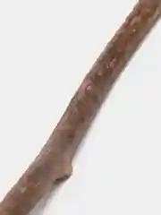 Деревянные палочки с мятой для кошек