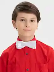 Белый бабочка