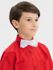 Белый бабочка
