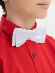 Белый бабочка