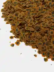Корм для рыб TetraPro Algae Multi-Crisps, на развес