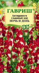 Львиный зев Антирринум "Ночь и день", семена, цветы