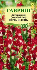 Львиный зев Антирринум "Ночь и день", семена, цветы