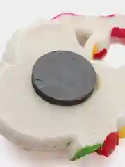 Кремовый магниты Ангелы