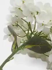 Белый гортензия, искуственные цветы