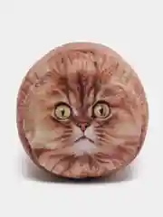Рыжий подушка-валик "Рыжая кошка, кот"