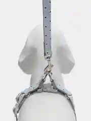 Розовый шлейка с поводком для собак