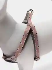 Розовый шлейка с поводком для собак