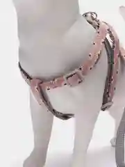 Розовый шлейка с поводком для собак