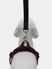 Красный шлейка с поводком для собак и крупных кошек, металлический карабин, легкая, джинсовая