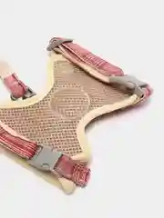 Красный шлейка c поводком для кошек