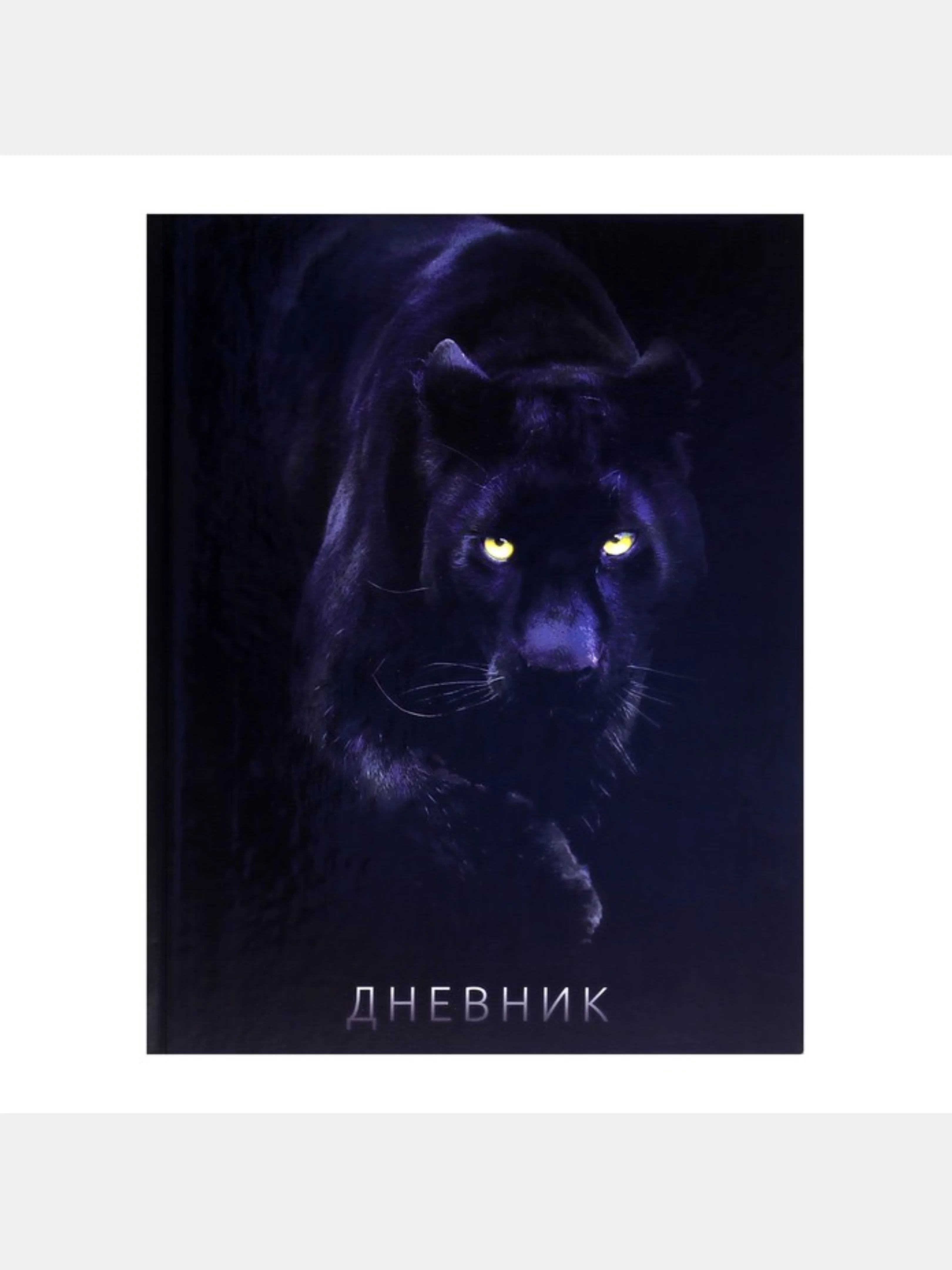 Бордовый школьный дневник, 1-11 класс