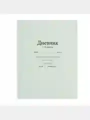 Серый школьный дневник, 1-11 класс