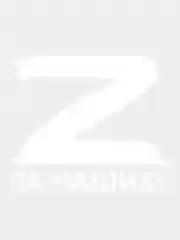 Наклейка без фона"Z За наших!"(16*13, 10*9см)на стекло автомобиля,9 мая,день Победы, зэт
