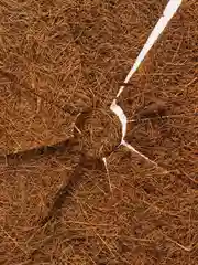 Стволовой круг из кокосового волокна 30 см. PLANT!T